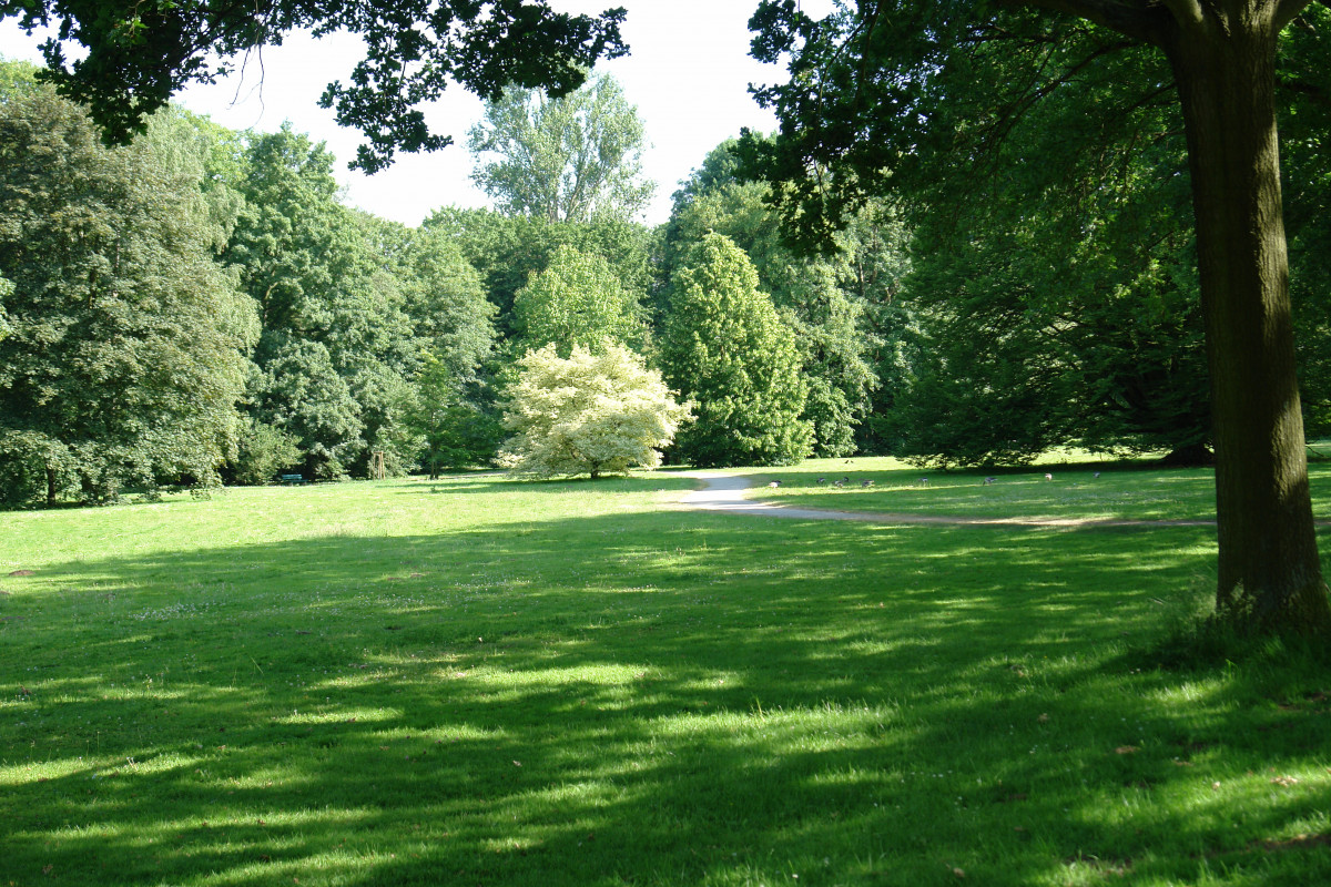 DSC00897