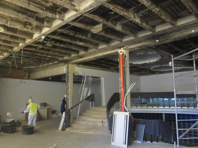 biovision Umwelt- und Gebäudeanalytik